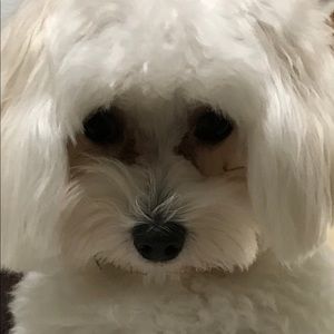 Meet your Posher, Sonia